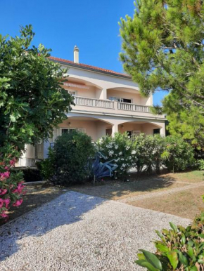 Apartmani Sruk